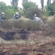 Požár trávy Plešnice