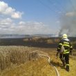 Po��r pole Kozolupy - Vochov